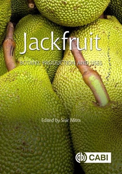 Produktbild: Jackfruit