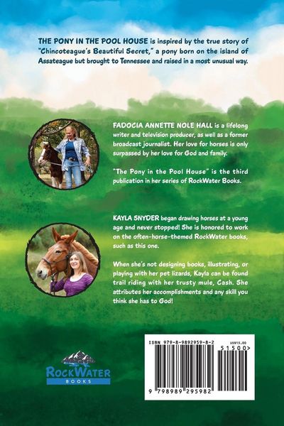 Produktbild: The Pony in the Pool House