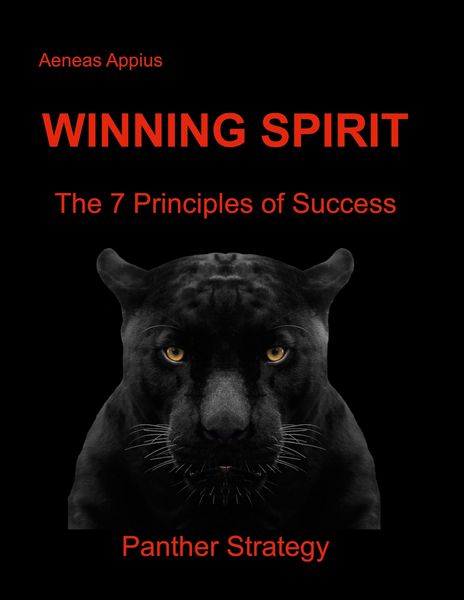 Produktbild: Winning Spirit
