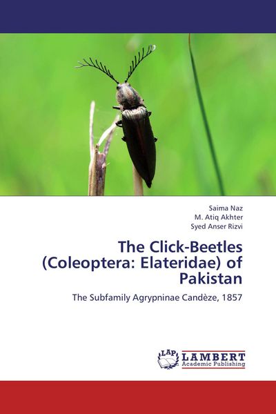 Produktbild: The Click-Beetles (Coleoptera: Elateridae) of Pakistan