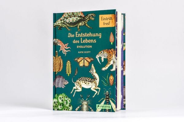 Produktbild: Die Entstehung des Lebens. Evolution