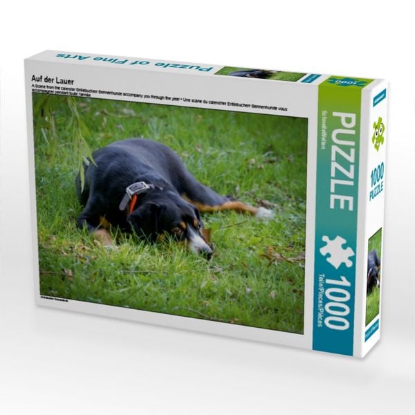 Produktbild: CALVENDO Puzzle Auf der Lauer 1000 Teile Puzzle quer | 1000 Teile Lege-Gr&ouml;&szlig;e 64 &times; 48 cm Foto-Puzzle f&uuml;r gl&uuml;ckliche Stunden