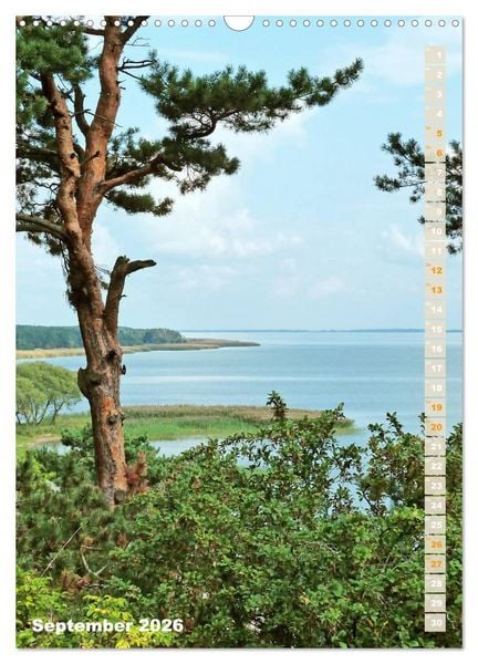 Produktbild: Kurische Nehrung &ndash; Am langen, weichen Ostsee-Strand (Wandkalender 2026 DIN A3 hoch), CALVENDO Monatskalender