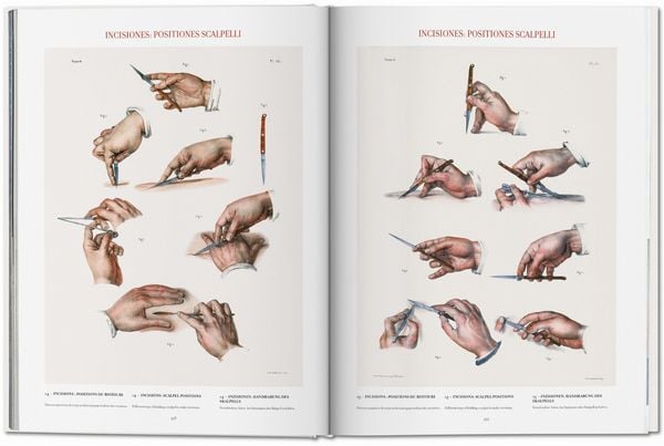 Produktbild: Bourgery