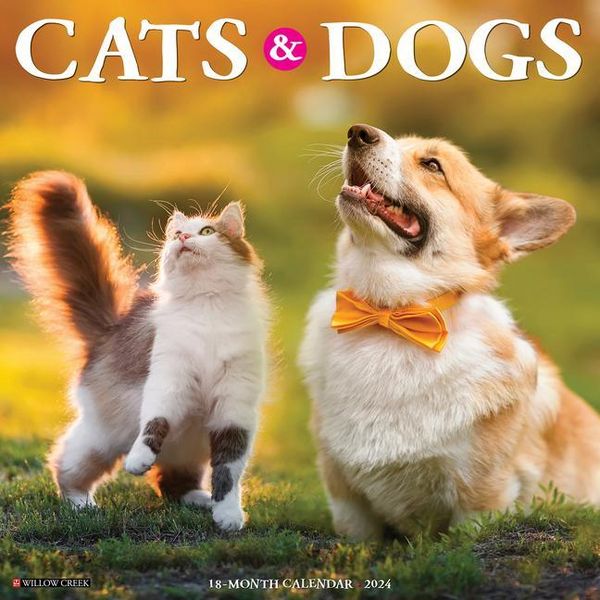 Produktbild: Willow Creek Press: Cats & Dogs 2024 12 X 12 Wall Calendar