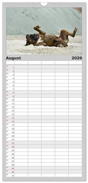 Produktbild: Familienplaner 2026 - Gut - besser - Boxer mit 5 Spalten (Wandkalender, 21 x 45 cm) CALVENDO