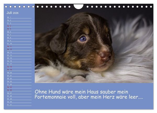 Produktbild: Drollige Tierkinder Mit Spr&uuml;chen (Wandkalender 2026 DIN A4 quer), CALVENDO Monatskalender
