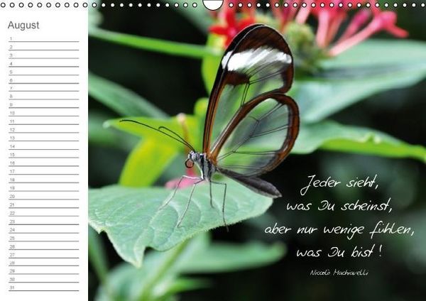 Produktbild: Befl&uuml;gelt (Wandkalender immerw&auml;hrend DIN A3 quer)