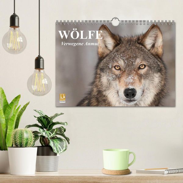 Produktbild: W&ouml;lfe. Verwegene Anmut (Wandkalender 2026 DIN A4 quer), CALVENDO Monatskalender