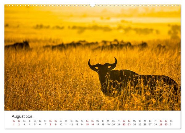 Produktbild: Kenia - Eine Safari durch unber&uuml;hrte Natur. (hochwertiger Premium Wandkalender 2026 DIN A2 quer), Kunstdruck in Hochglanz