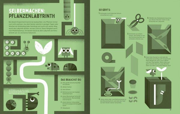 Produktbild: Sonnenschein zum Fr&uuml;hst&uuml;ck - entdecke die Welt der Pflanzen