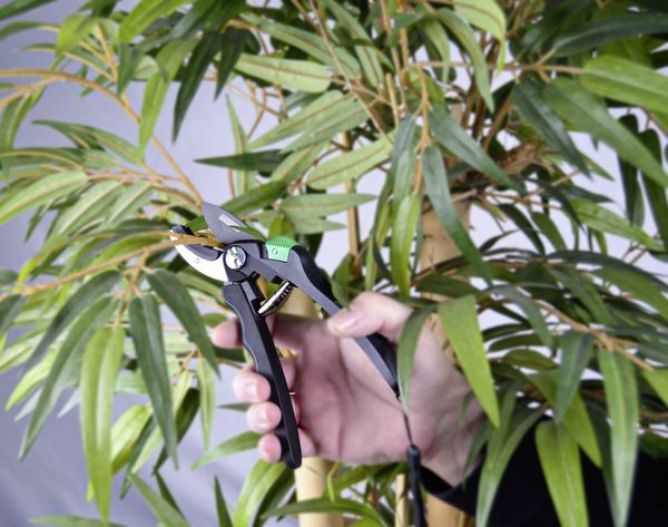 Produktbild: Br&uuml;der Mannesmann M63100 Gartenschere Amboss