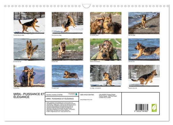 Produktbild: MIRA - PUISSANCE ET &Eacute;L&Eacute;GANCE (Calendrier mural 2026 DIN A3 vertical), CALVENDO calendrier mensuel
