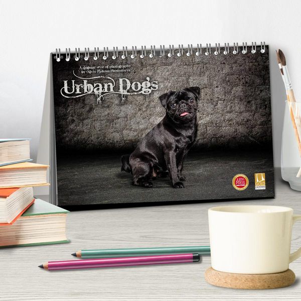 Produktbild: Urban Dogs - Hundekalender der anderen Art (Tischkalender 2026 DIN A5 quer), CALVENDO Monatskalender
