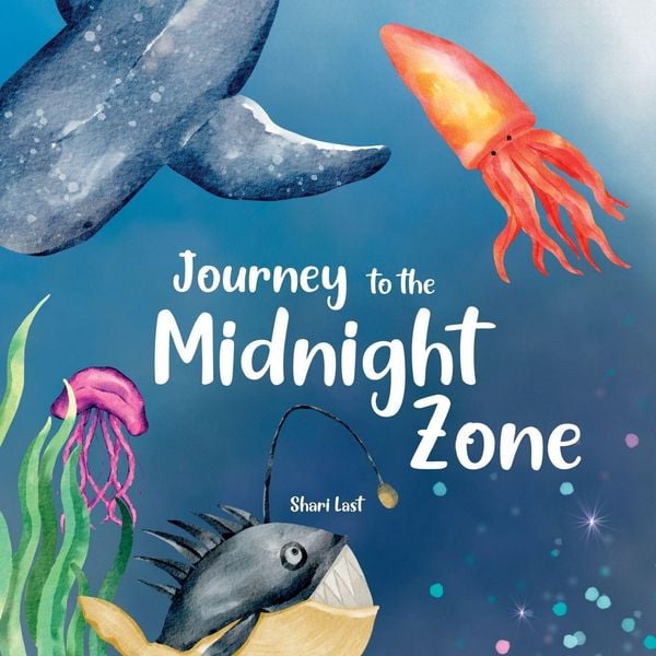 Produktbild: Journey to the Midnight Zone