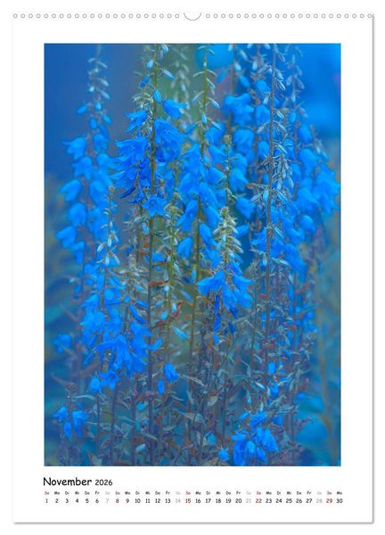 Produktbild: Blauer Bl&uuml;tenzauber (Wandkalender 2026 DIN A2 hoch), CALVENDO Monatskalender