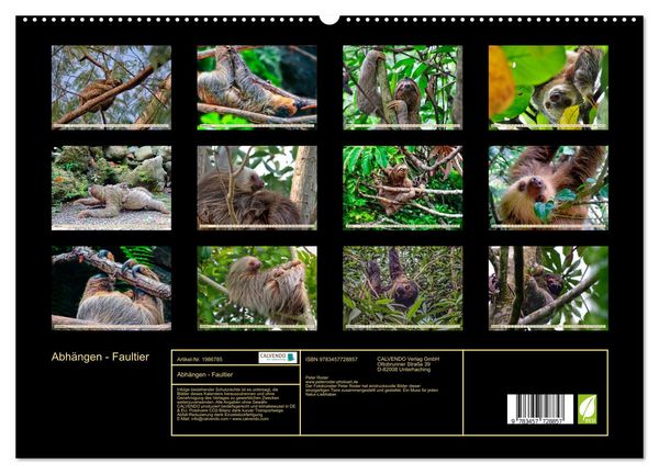 Produktbild: Abh&auml;ngen - Faultier (hochwertiger Premium Wandkalender 2026 DIN A2 quer), Kunstdruck in Hochglanz