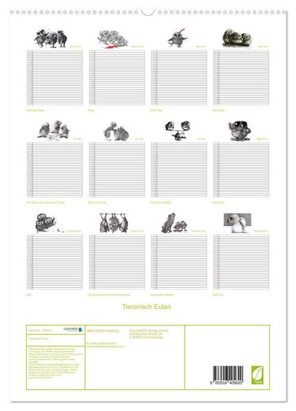 Produktbild: Tieronisch Eulen (hochwertiger Premium Wandkalender 2026 DIN A2 hoch), Kunstdruck in Hochglanz