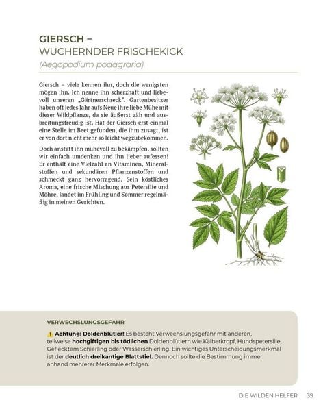 Produktbild: Wilde Kraft