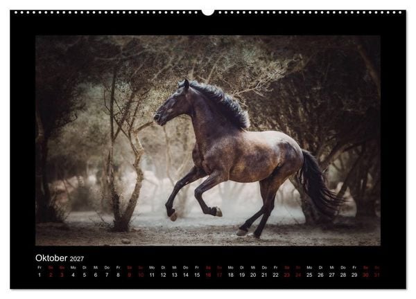Produktbild: Die Faszinierende Welt der Pferde (hochwertiger Premium Wandkalender 2027 DIN A2 quer), Kunstdruck in Hochglanz