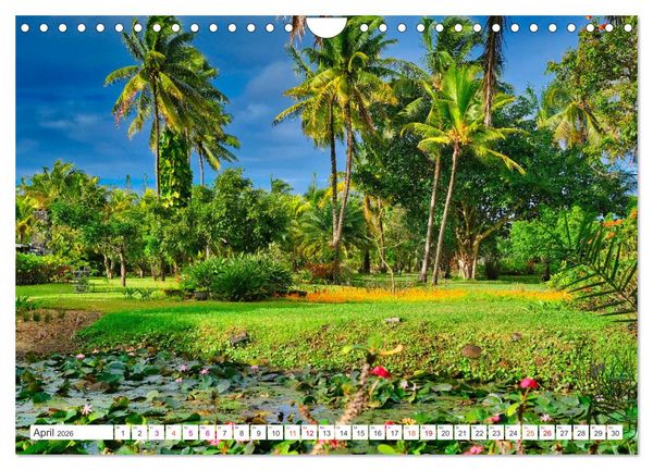 Produktbild: Mauritius - Sch&ouml;nheit im Indischen Ozean (Wandkalender 2026 DIN A4 quer), CALVENDO Monatskalender