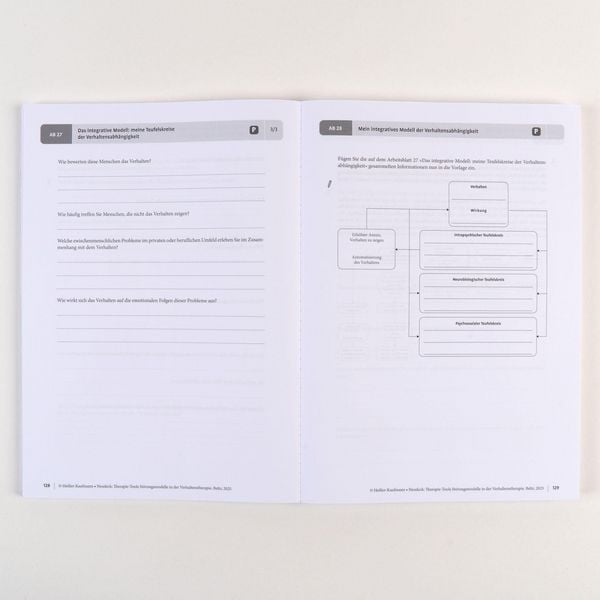 Produktbild: Therapie-Tools St&ouml;rungsmodelle in der Verhaltenstherapie