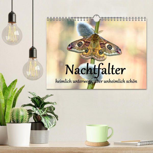 Produktbild: Nachtfalter - heimlich unterwegs, aber unheimlich sch&ouml;n (Wandkalender 2026 DIN A4 quer), CALVENDO Monatskalender