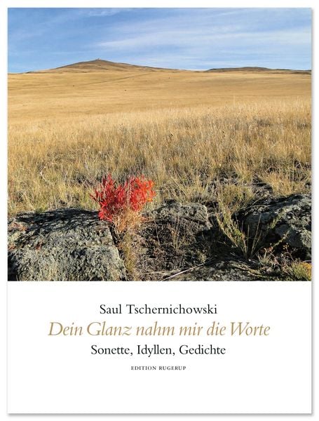 Produktbild: Dein Glanz nahm mir die Worte