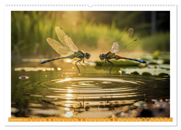 Produktbild: Prachtlibellen am Teich (Wandkalender 2027 DIN A2 quer), CALVENDO Monatskalender