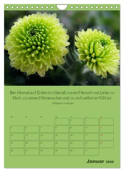 Produktbild: Erkenntnis und Weisheit - Hildegard von Bingen (Wandkalender 2026 DIN A4 hoch), CALVENDO Monatskalender