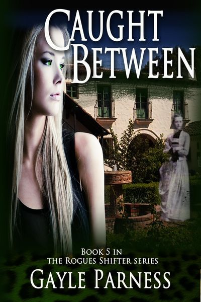 Produktbild: Caught Between: Book 5 Rogues Shifter Series
