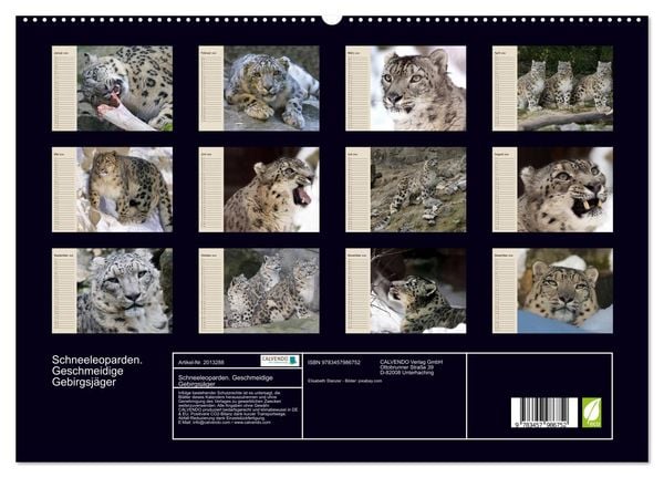 Produktbild: Schneeleoparden. Geschmeidige Gebirgsj&auml;ger (hochwertiger Premium Wandkalender 2026 DIN A2 quer), Kunstdruck in Hochglanz