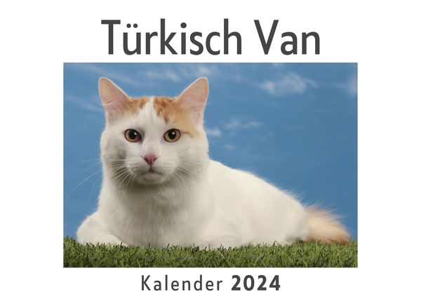 Produktbild: T&uuml;rkisch Van (Wandkalender 2024, Kalender DIN A4 quer, Monatskalender im Querformat mit Kalendarium, Das perfekte Geschenk)