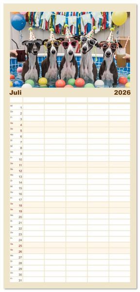 Produktbild: Familienplaner 2026 - Funny Greyhounds - Windhunde mal anders mit 5 Spalten (Wandkalender, 21 x 45 cm) CALVENDO