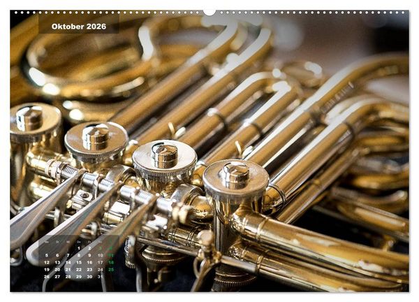 Produktbild: Das Horn, ein herrliches Instrument (hochwertiger Premium Wandkalender 2026 DIN A2 quer), Kunstdruck in Hochglanz
