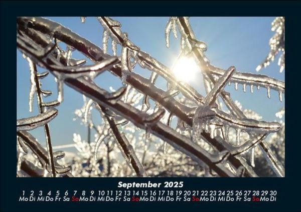 Produktbild: Natur 2025 Fotokalender DIN A5