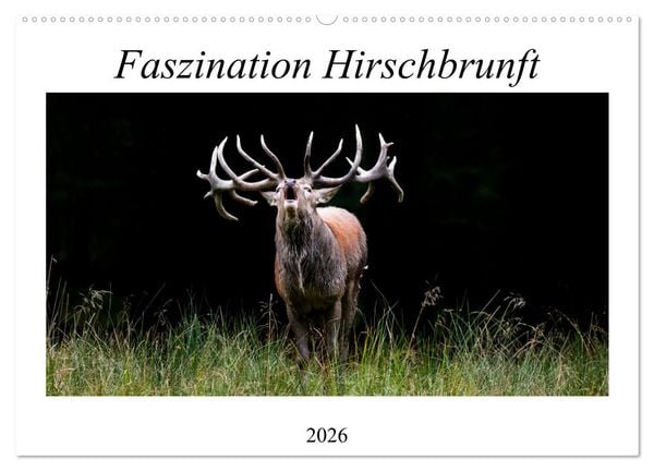 Faszination Hirschbrunft (Wandkalender 2026 DIN A2 quer), CALVENDO Monatskalender