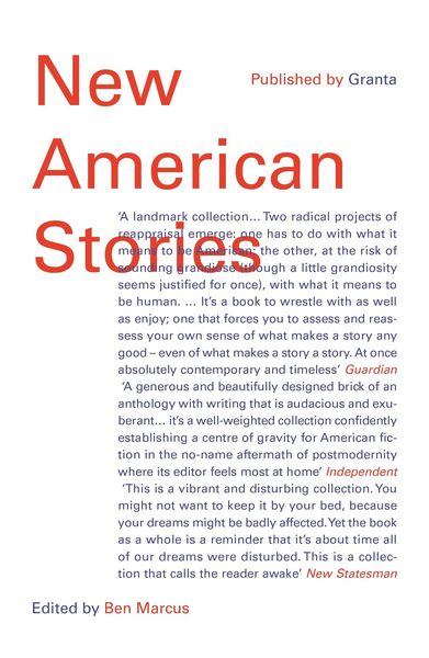 Produktbild: New American Stories