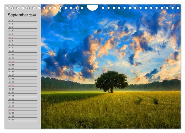 Produktbild: Magische B&auml;ume (Wandkalender 2026 DIN A4 quer), CALVENDO Monatskalender