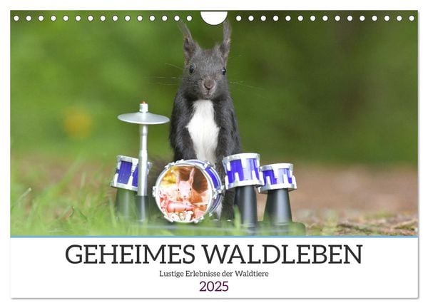 Geheimes Waldleben (Wandkalender 2025 DIN A4 quer), CALVENDO Monatskalender