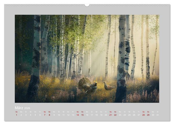 Produktbild: Wald der M&auml;rchen (hochwertiger Premium Wandkalender 2026 DIN A2 quer), Kunstdruck in Hochglanz