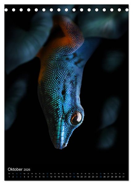 Produktbild: Auge in Auge mit coolen Typen - REPTILIEN (Tischkalender 2026 DIN A5 hoch), CALVENDO Monatskalender