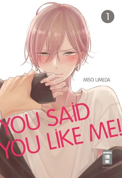 Produktbild: You Said You Like Me! 01
