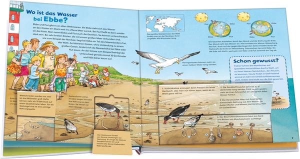 Das Meer / Was ist was junior Bd. 17