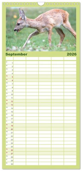 Produktbild: Familienplaner 2026 - Heimische Tiere - Rehe mit 5 Spalten (Wandkalender, 21 x 45 cm) CALVENDO