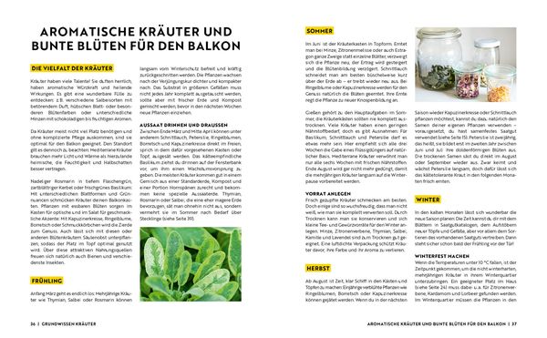 Produktbild: Gartenmomente: Balkongarten