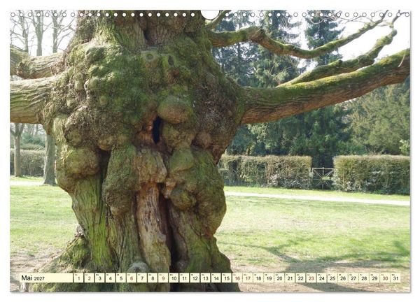 Produktbild: Zauberhaftes, die Natur als K&uuml;nstler (Wandkalender 2027 DIN A3 quer), CALVENDO Monatskalender
