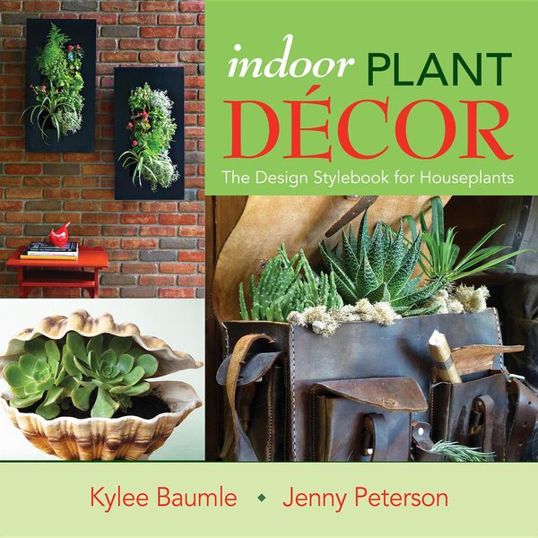 Produktbild: Indoor Plant Decor