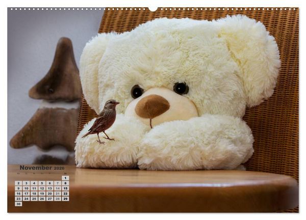 Produktbild: Teddys, wollen wir Kalender anschauen? (Wandkalender 2026 DIN A2 quer), CALVENDO Monatskalender