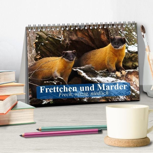 Produktbild: Frettchen und Marder. Frech, witzig, niedlich (Tischkalender 2026 DIN A5 quer), CALVENDO Monatskalender